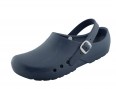 CHIROCLOG-ECONOMY-BLUE-SCHURR.png